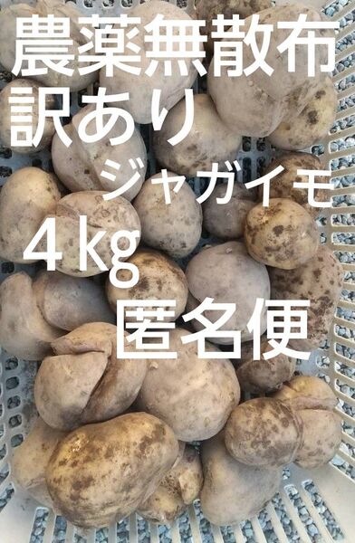 農薬無散布 訳あり ジャガイモ 4㎏ 匿名便
