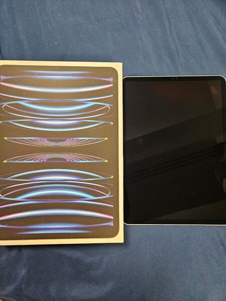 iPad Pro 11チンチ 第4世代 M2 128gb cellurar