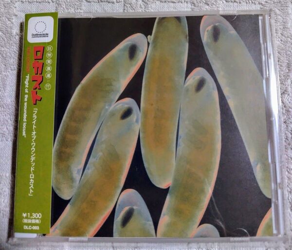 THE LOCUST / Flight of the wounded locust 国内盤 帯付 ハードコア