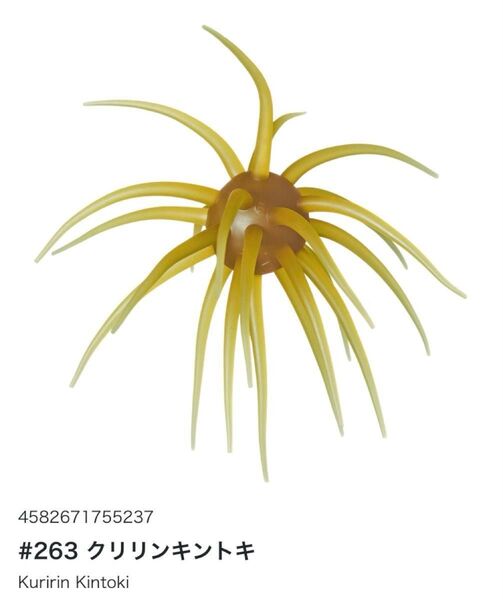 ハイドアップ コイケ フルキャスト ソフトマテリアル クリリンキントキ