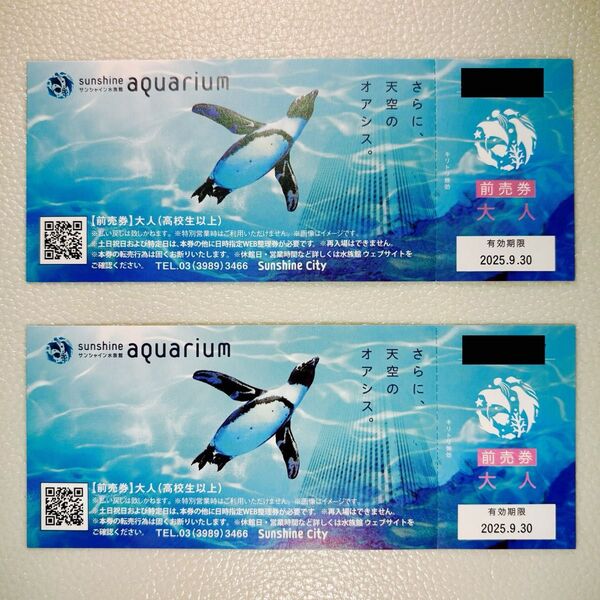 【ラスト】サンシャイン水族館 入場券 大人 2枚