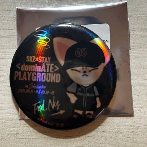 スキズ アイエン フォクシニー dominATE PLAYGROUND 缶バッジ