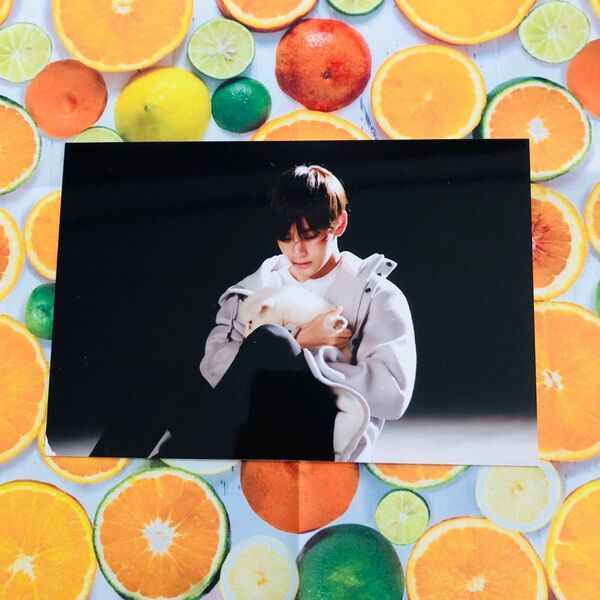 BTS 展示会 テテ テヒョン 生写真 ミニフォト ポストカード トレカ lys sys PTD Layover 公式