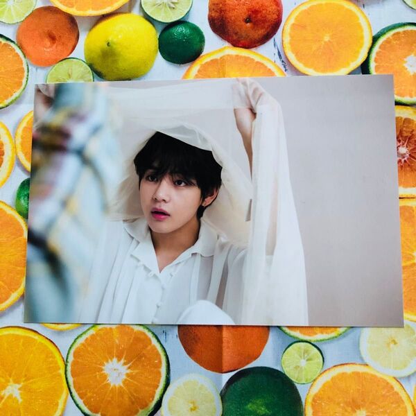 BTS 展示会 テテ テヒョン 生写真 トレカ FC Layover
