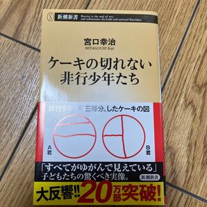 ケーキの切れない非行少年たち (新潮新書 820) 宮口幸治/著