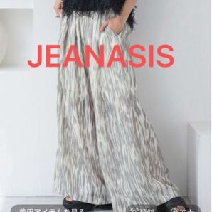 JEANASIS アソートガライージーパンツ