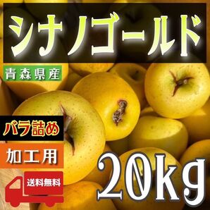 " シナノゴールド "【青森県産りんご20kg】【産地直送】【即購入OK】【送料無料】加工用 りんご リンゴ 林檎