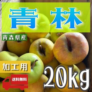 " 青林 "【青森県産りんご20kg】【産地直送】【即購入OK】【送料無料】加工用 りんご リンゴ 林檎