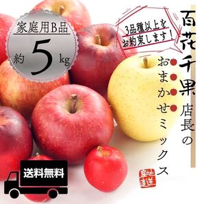 "店長おまかせミックス"【青森県産りんご5kg】【産地直送】【即購入OK】【送料無料】家庭用 りんご リンゴ 林檎