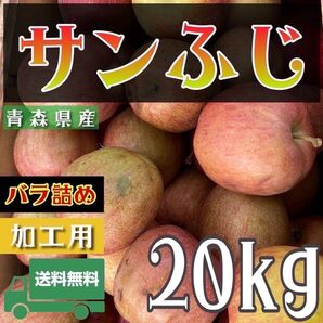 " サンふじ "【青森県産りんご20kg】【産地直送】【即購入OK】【送料無料】加工用 りんご リンゴ 林檎