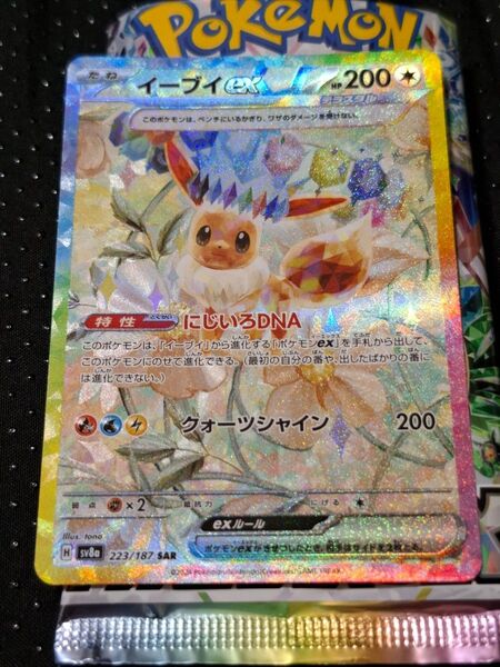 イーブイex SAR☆テラスタルフェスex☆ポケモンカード ハイクラスパック sar