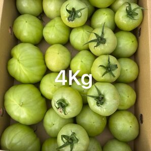 熊本産トマト 4Kg