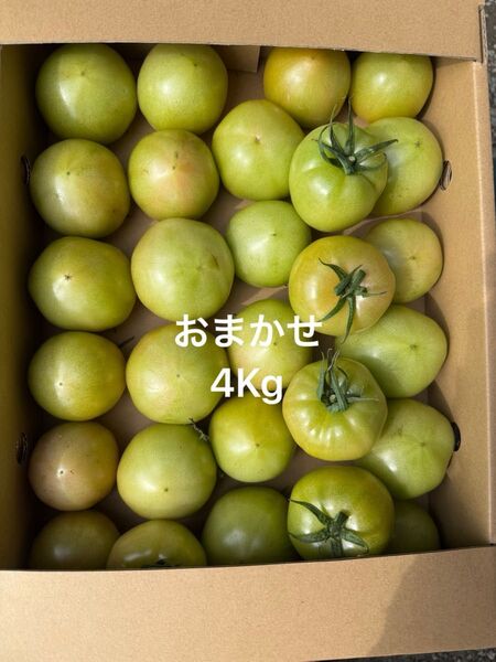 熊本産トマト 4Kg
