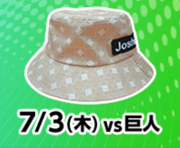 阪神タイガース 甲子園球場 ライト外野席 チケット