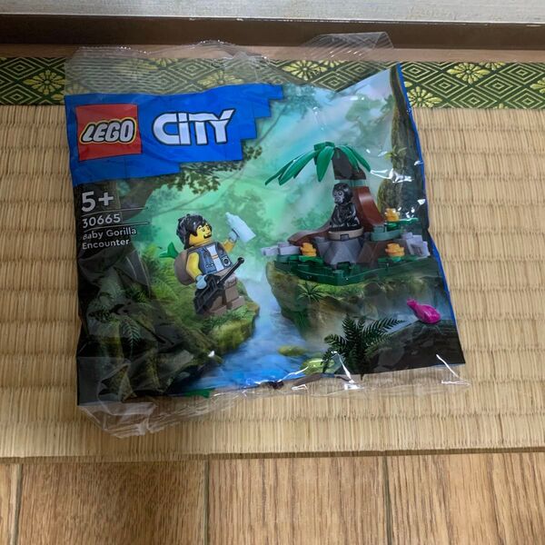 レゴ LEGO シティ 赤ちゃんゴリラ見つけた ミニセット 30665 新品未開封