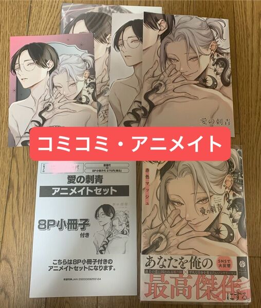 【新刊】BLコミック 赤色マッシュ『愛の刺青』アニメイト コミコミ 小冊子 リーフレット【複数特典付き】