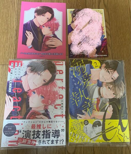 小鳥遊ウタ『パーフェクトリアクション 今日から推しと共演します』むろ文子『溺愛執着αくん 2』コミコミリーフレット イラストカード