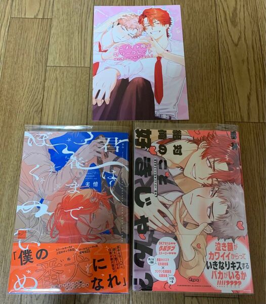 【新刊】BLコミック 2冊セット 劣情『君は春までぼくのいぬ』爺太『絶対俺のこと好きじゃん?』アニメイト限定4Pリーフレット