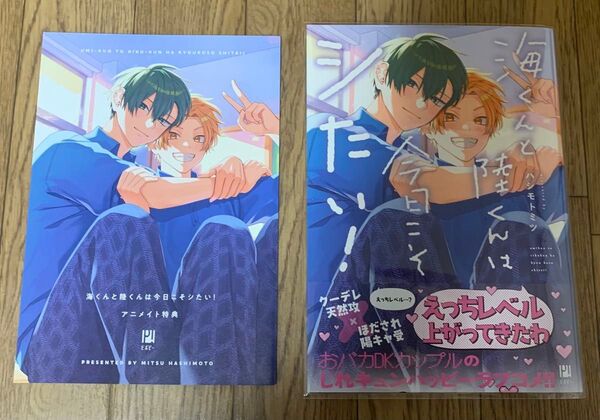 【新刊】BLコミック ハシモトミツ『海くんと陸くんは今日こそシたい』アニメイト特典4Pリーフレット