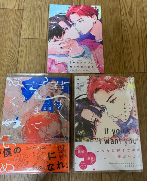 【新刊】BLコミック 劣情『君は春までぼくのいぬ』鳥田ちず『「お前がいい」なんて言われたら』アニメイト 4Pリーフレット