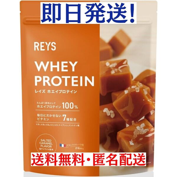 塩キャラメル風味 REYS レイズ ホエイ プロテイン 1kg