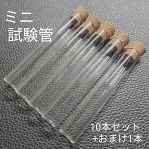 試験管 5ml (12x75x10mm) 10本セット +1本