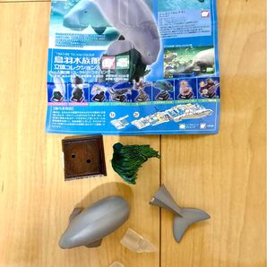 鳥羽水族館 立体コレクション3人魚の海・コーラルリーフダイビング ジュゴン鳥羽水族館ガチャガチャ