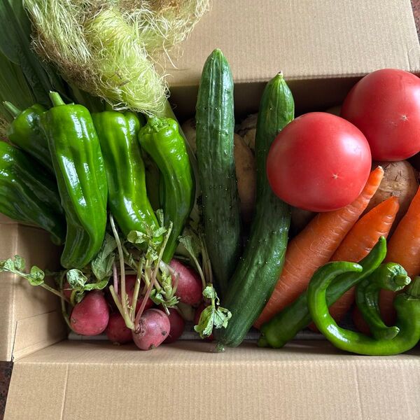 農家直送便夏野菜無農薬タイムセール