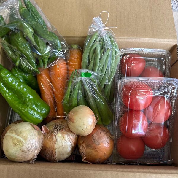 岡山県産無農薬夏野菜