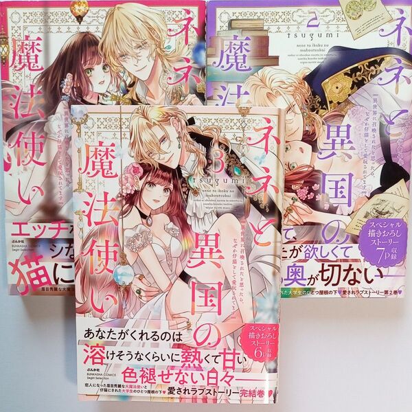 ネネと異国の魔法使い 異世界に召喚さ 全3巻 (ぶんか社コミックス Sgirl Sele) tsugumi