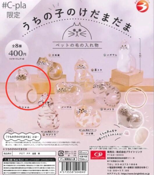 うちの子のけだまだま シャム 新品未使用 正規品 カプセルトイ ガチャ