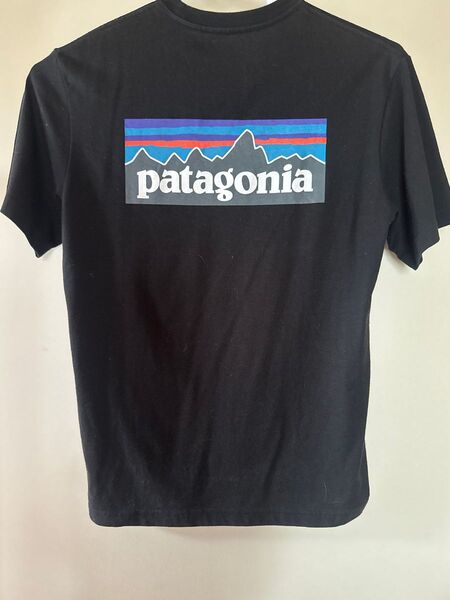 パタゴニア 半袖Tシャツ ロゴ patagonia Tシャツ M 半袖 Patagonia