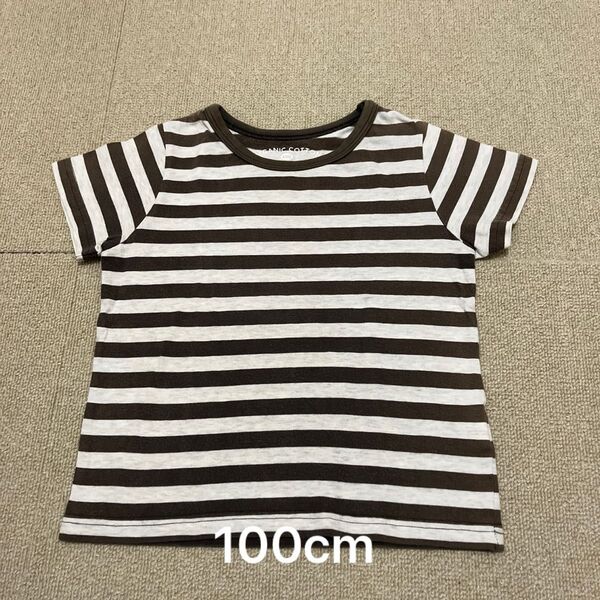 半袖Tシャツ 100cm 男の子