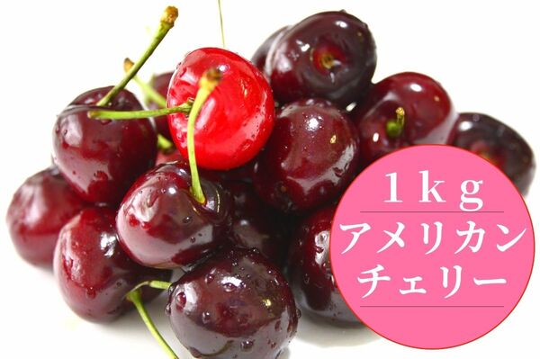 本日Sale アメリカンチェリー 1㎏ ダークチェリー サクランボ 大サイズ さくらんぼ