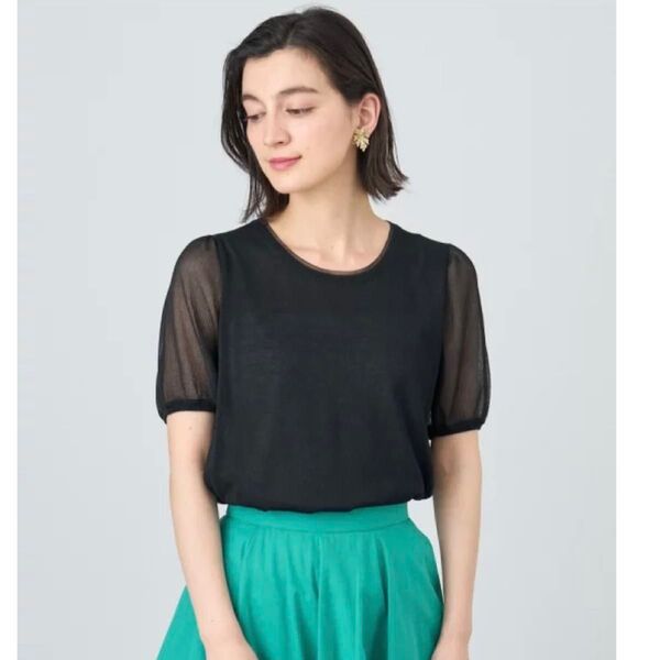 ANAYI アナイ シアースリーブクループルオーバー カットソー 半袖 Tシャツ クルーネック 洗える ブラック 38 24SS