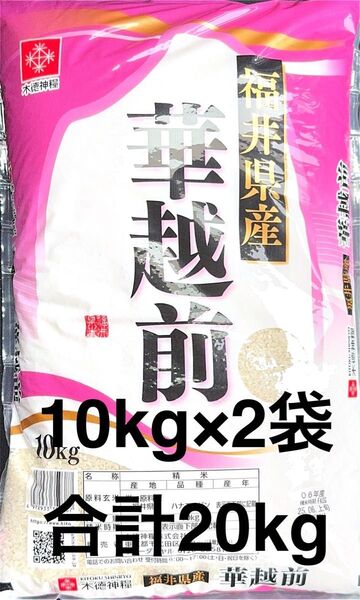 福井県産 華越前 10kg×2袋 合計20kg