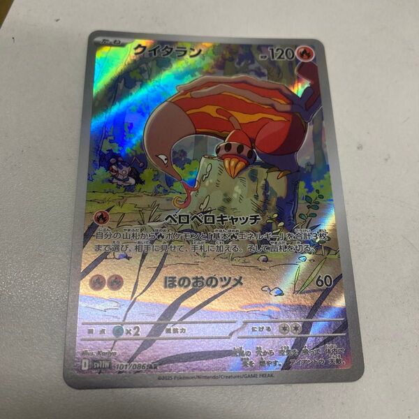 ポケモンカードゲーム クイタランex AR ホワイトフレア ブラックボルト収録