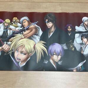 【激レア】BLEACH ブリーチ アニメDVD購入特典 護廷十三隊 特大巻物風タペストリー マット加工