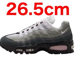 Nike Women's Air Max 95 Big Bubble Pink Foam 26.5cm