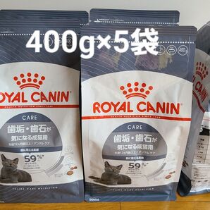 ロイヤルカナン デンタルケア 歯垢・歯石が気になる成猫用 400g×5袋 キャットフード ドライフード