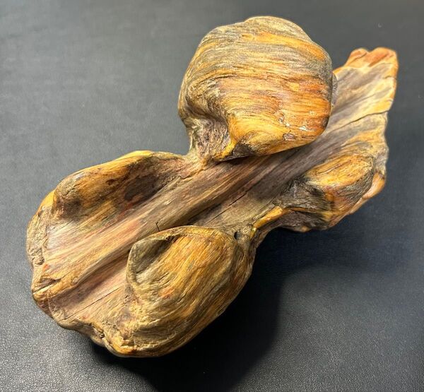 天然木 瘤木・根瘤 旧家蔵出し、縁起物、風水、飾り、自然、骨董品、古美術 置物 流木 香木