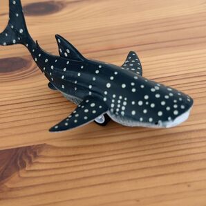 ジンベイザメのミニカー サメ フィギュア フィギュア おもちゃ 玩具 サメ 鮫 Shark