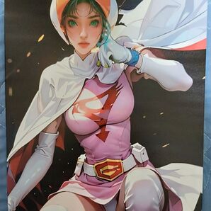 【数量限定】『科学忍者隊ガッチャマン』白鳥のジュン インテリアパネル