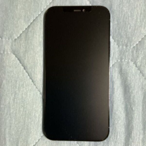 iPhone12Pro 256gb SIMフリー パシフィックブルー