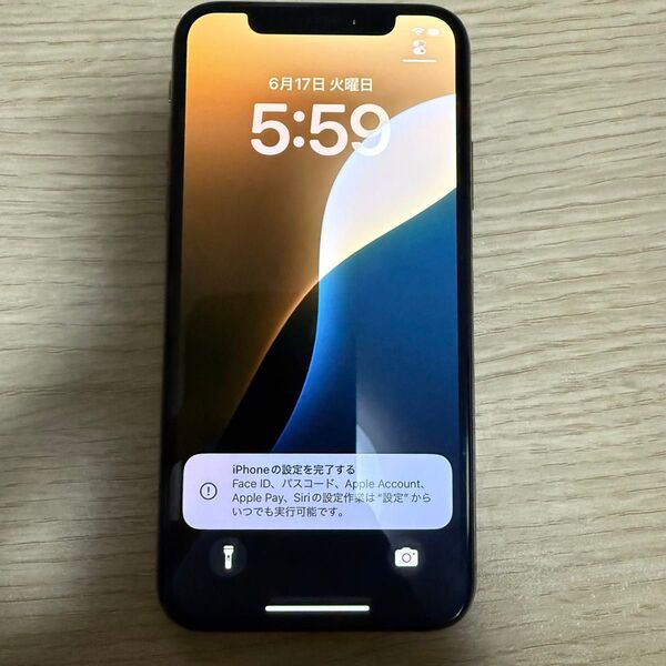 docomo iPhone Xs 256GB