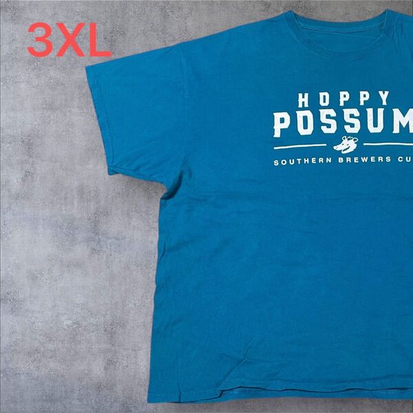 【US古着】グリーン 3XL Tシャツ 半袖 レギュラー プリント メンズ レディース 大きいサイズ オーバーサイズ