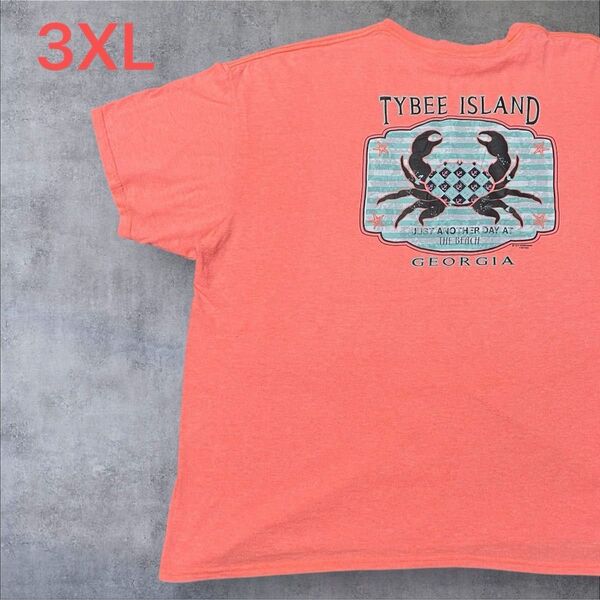 【US古着】サーモンピンク 3XL Tシャツ 半袖 レギュラー プリント メンズ レディース 大きいサイズ オーバーサイズ