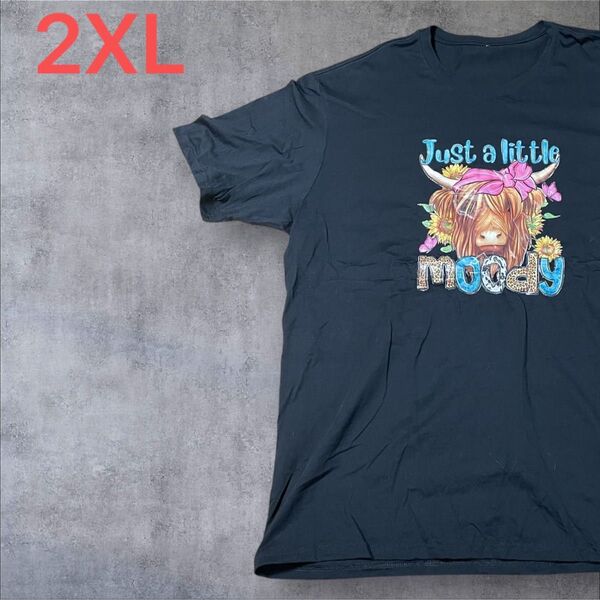 【US古着】ブラック 2XL Tシャツ 半袖 レギュラー プリント メンズ レディース 大きいサイズ オーバーサイズ