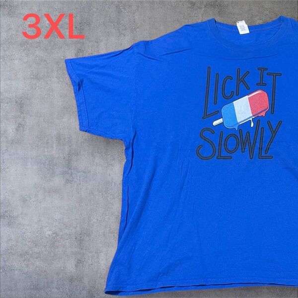 【US古着】ブルー 3XL Tシャツ 半袖 レギュラー プリント メンズ レディース 大きいサイズ オーバーサイズGILDAN