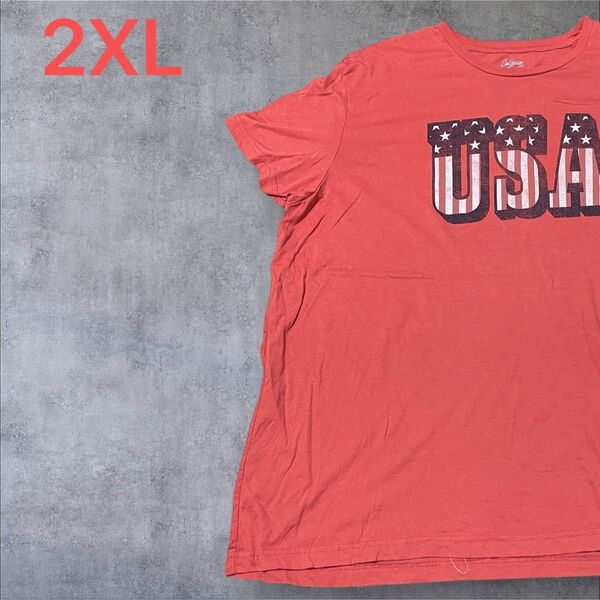 【US古着】ピンク 2XL Tシャツ 半袖 レギュラー プリント メンズ レディース 大きいサイズ オーバーサイズ